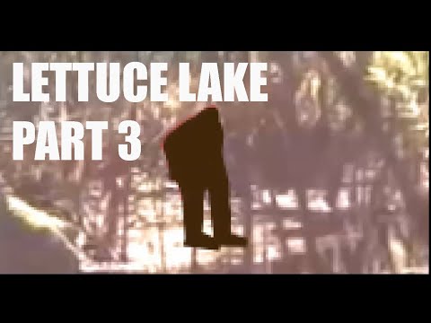 Lettuce Lake Bigfoot Video Series Parts 2 and 3 Now Available
