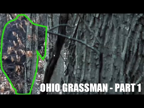 NEW Salt Fork Ohio Grassman - Bigfoot - Sasquatch