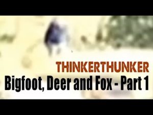 The Deer, Fox and Bigfoot - Part 1 (ThinkerThunker video)