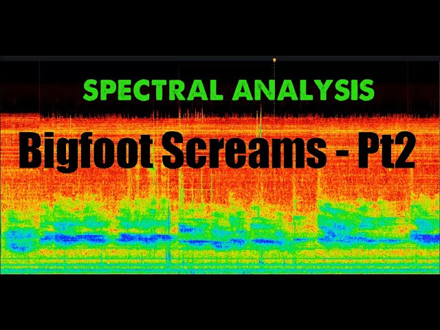 Sierra Bigfoot Screams Video Part 2 "Sonic DNA" Audio Print