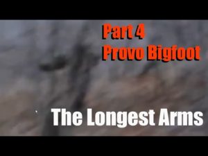Provo Utah Bigfoot Throwing a Rock - Part 4: The Throw & The Arm!