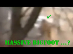 Brothers Film Massive Bigfoot-Shaped Figure in Utah