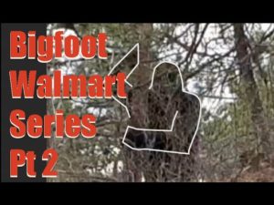 ThinkerThunker Bigfoot-Walmart Connection Part 2