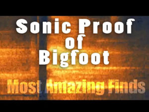 Bigfoot Most Amazing Finds #2 - Sonic Proof of Bigfoot