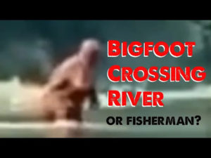 Michigan Bigfoot Video Crossing Cass River (ThinkerThunker Breakdown)
