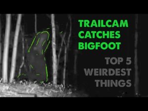 Top Five Weirdest Things About "Trailcam Captures Bigfoot" (ThinkerThunker)