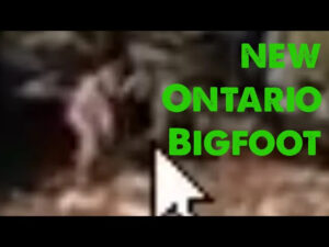Northern Ontario Bigfoot: Top Four Finds (ThinkerThunker)